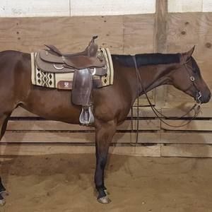 Meet your Posher, Debbie